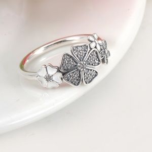 925 Sterling Silver Ring